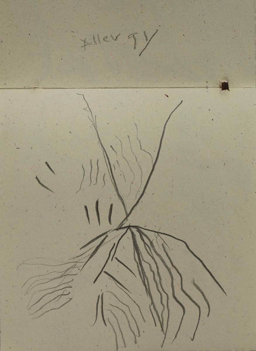 untitled — drawings (3) from the series Falling Angel (2015)